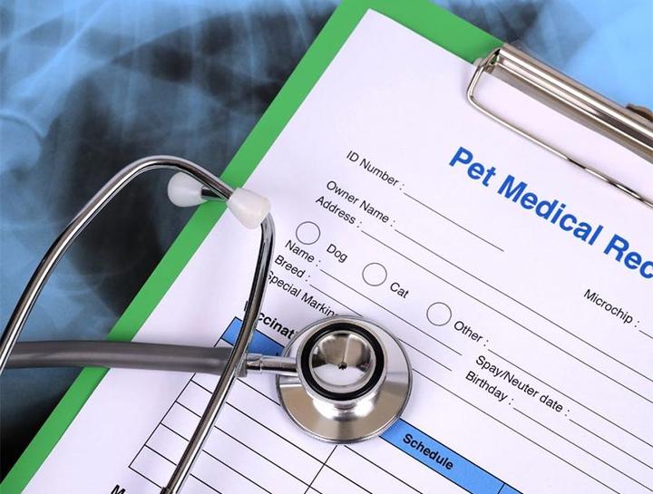 Pet Portal Oneonta Veterinary Hospital