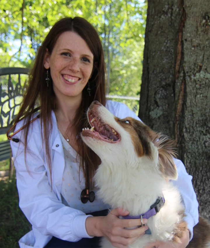 Dr. Pamela Stafford, DVM